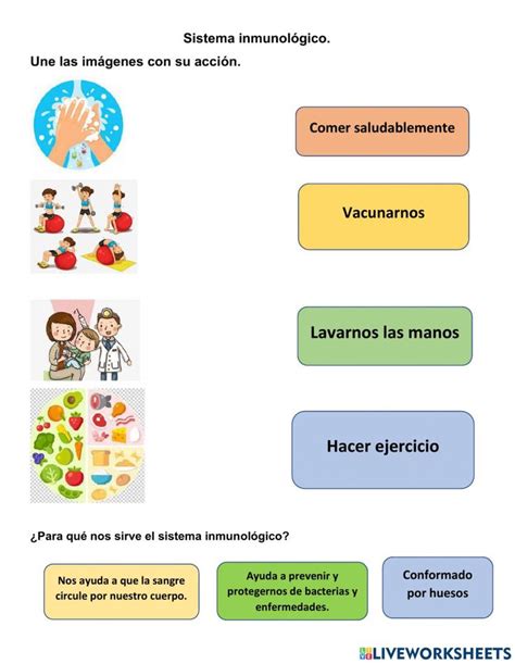 Sistema inmunológico worksheet for Segundo grado Actividades para