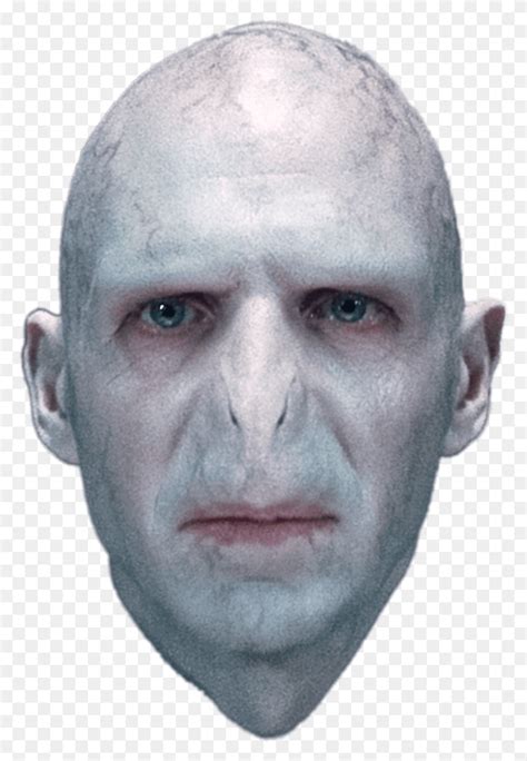 Harry Potter Voldemort, Head, Face, Person HD PNG Download – Stunning ...