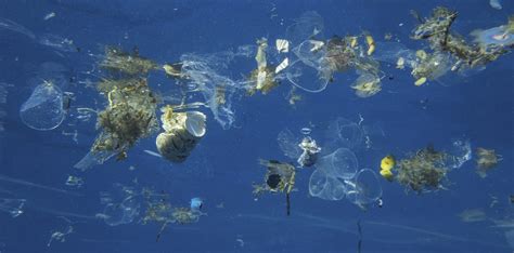 salado Realista barajar marine plastic pollution Flor de la ciudad ...