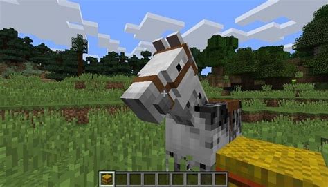 Come Addomesticare Un Cavallo Su Minecraft Salvatore Aranzulla