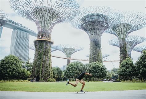 Seb Jungle Urbaine Fubiz Media