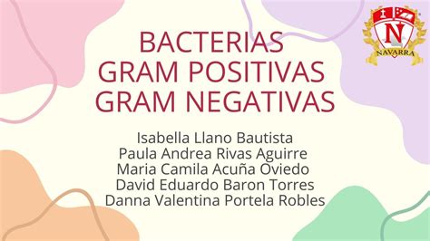 Bacterias Gram Positivas Gram Negativas Luisa Cadena Fandiño Udocz