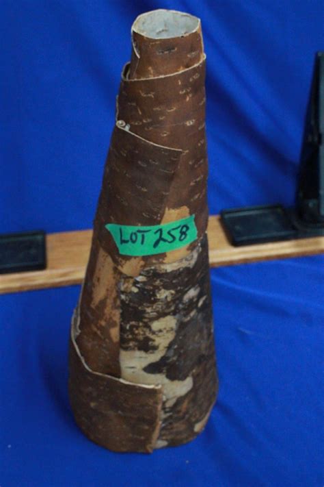 Birch Bark Moose Call