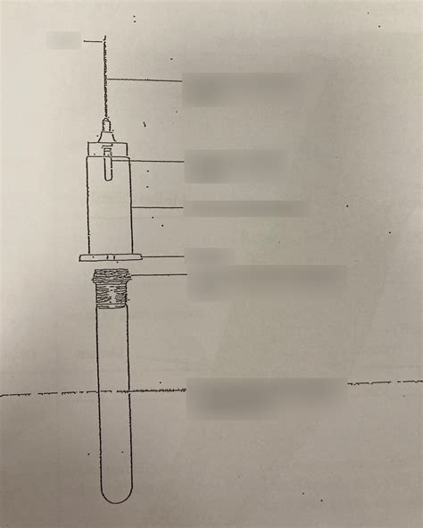 Vacutainer System For Venous Blood Collection Parts Of The Needle