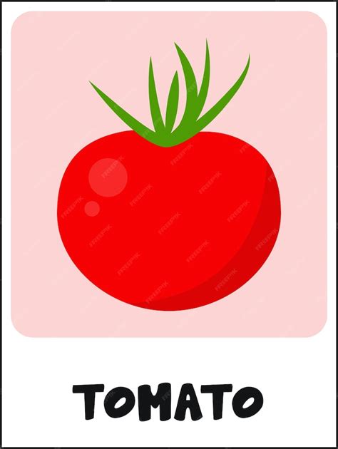 Premium Vector | Tomato flashcard