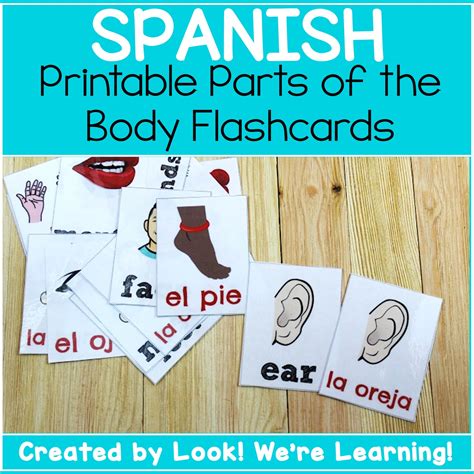 spanish parts   body flashcards   learning