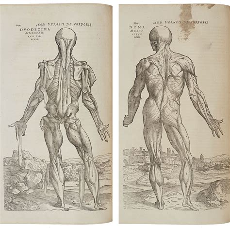 The Fabric of the Human Body | Health and the People