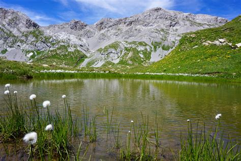 Plan Des Roses And Lac De T N Destination Montagne