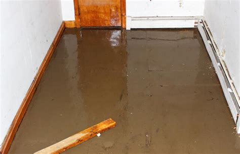 Flooded Basement Cleanup