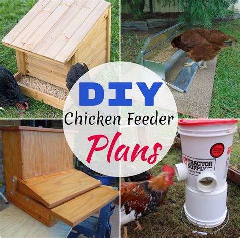 15 DIY Chicken Feeder Plans You Can Build Easily - DIYnCrafty