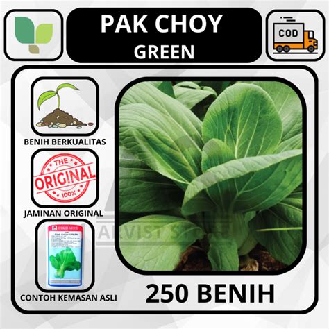 Butir Benih Pak Choy Green Takii Seed Pakcoy Bibit Sayuran