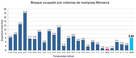 Aumenta La Presencia De La Mariposa Monarca En Los Bosques