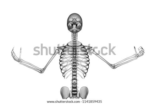 X Ray Human Body 3d Render Stock Illustration 1141859435 Shutterstock