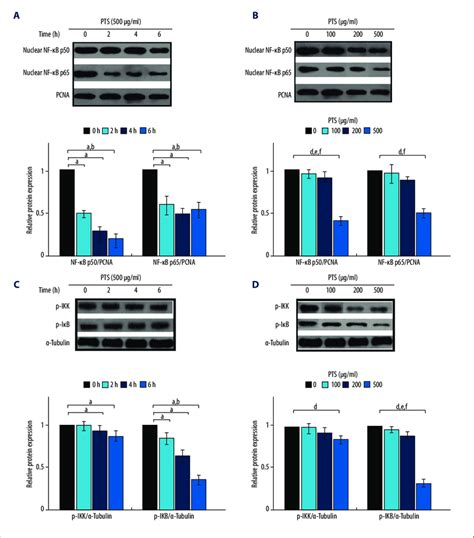 PTS Effects On NF KB P 50 And NF KB P 65 Protein Levels A B P IKK