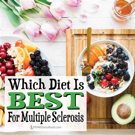 Which Diet Is Best For MS? - MS Wellness Route