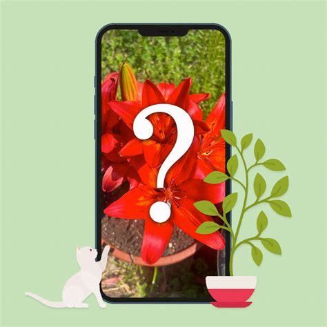 IPhone Plant Identifier How To Look Up Plants Using Your IPhone