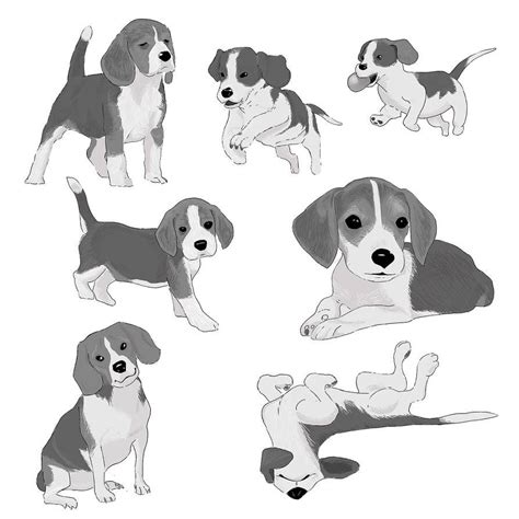 I Ve Been Drawing Dogs For A Project By Pascalcampion On Deviantart