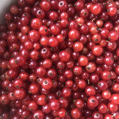 Une Monnaie pour Paris : la Pêche - Que faire cette semaine ? A