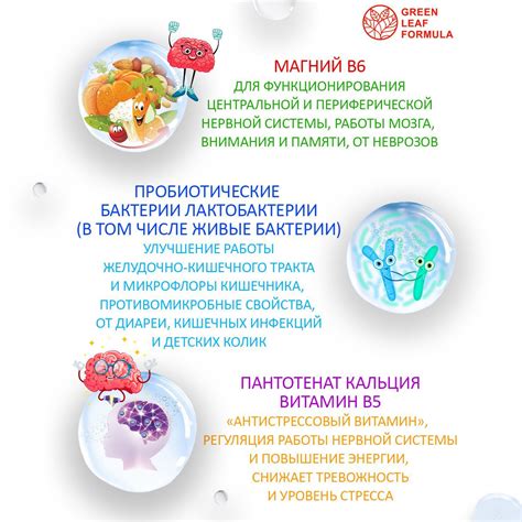 Магний В6 для детей с лактобактериями, пробиотики для детей и взрослых ...