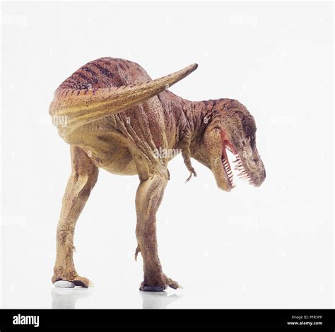view  model  tyrannosarus rex tail swinging  side head