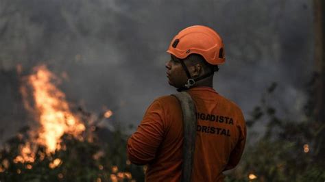 Incendios En La Amazonía Brasileña Se Multiplican Por Doce Diario Libre