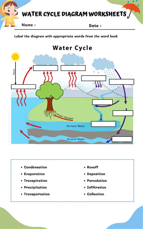 Water Cycle Diagram Worksheets Worksheetsgo