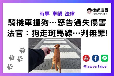 【車禍法律】新聞｜機車騎士撞狗怒告飼主過失傷害！法官判無罪：牠走斑馬線