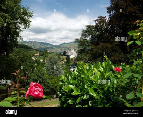 Spiez Castle, Spiez, Lake Thun, Interlaken, Switzerland Stock Photo - Alamy