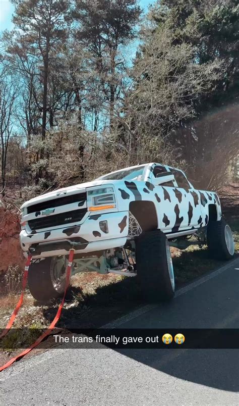 Tymber - Cow down 😭 | Facebook