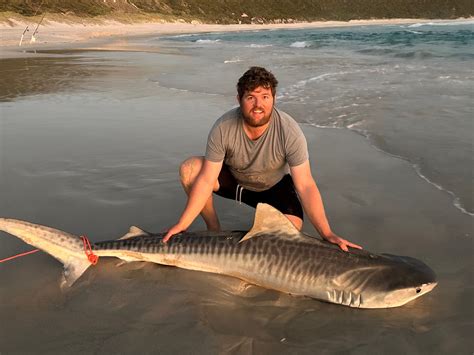 Fishing Comp Turned Epic Battle To Reel In Huge Tiger Shark