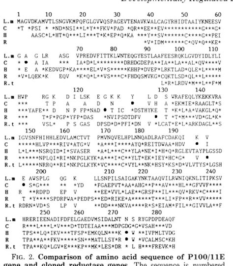 Figure 2 From The Developmentally Regulated P100 11E Gene Of Leishmania