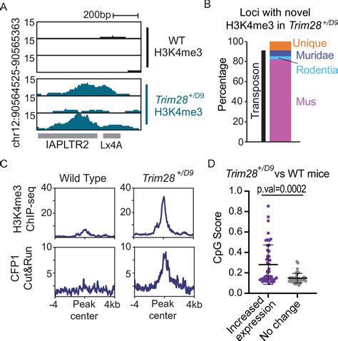 Figures and data in Sequence features of retrotransposons allow for epigenetic variability | eLife