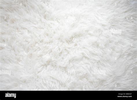 White fluffy carpet, cozy texture, white and soft Stock Photo - Alamy