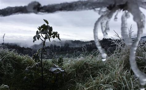 Conagua Frente Frío 24 ya está en México HELADAS y LLUVIAS