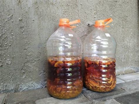 Eco Enzyme Cairan Multifungsi Dari Sampah Organik Majalah Suara