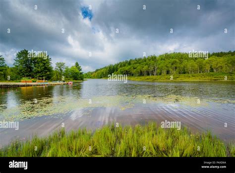 Pendleton Lake At Blackwater Falls State Park West Virginia Stock