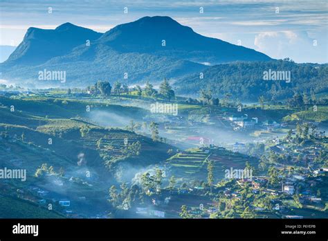 Sri Lanka, Nuwara Eliya Stock Photo - Alamy