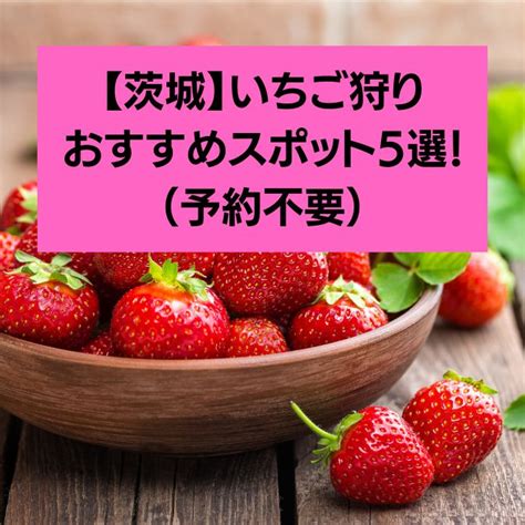 【茨城】いちご狩りデビューにおすすめ！予約なしで楽しめるスポット5選 うさぴょんファミリーのほのぼのブログ