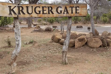 Der Kruger Nationalpark Afrikas Schöne Wilde Seite