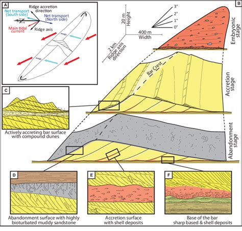 Facies Model And Reconstruction Of The Transgressive Tidal Shelf Ridge