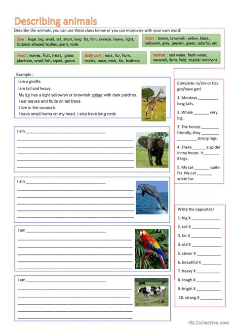 Describing Animals English Esl Worksheets Pdf And Doc