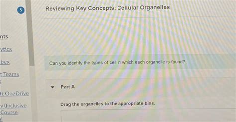 5 Reviewing Key Concepts: Cellular Organelles Can you | Chegg.com