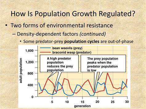 Ppt Population Growth And Regulation Powerpoint Presentation Free