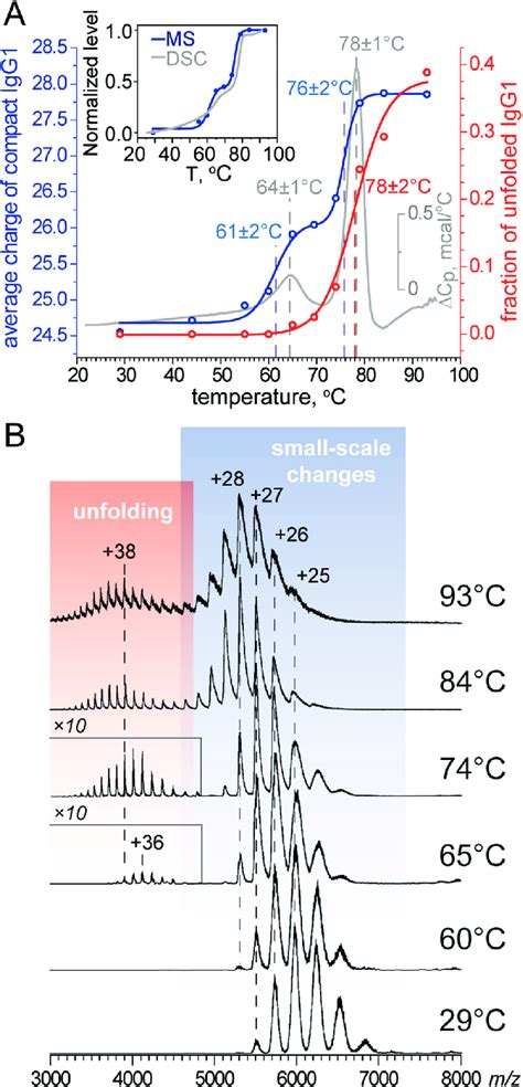 Heat Induced Denaturation Of MAb In 20 MM NH 4 Ac PH 4 7 A A DSC