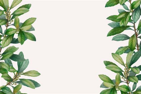 Tropical Botanic Leaves Background Illustration Premium Psd Rawpixel