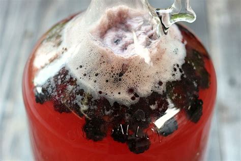 Blackberry Mead One Gallon Recipe Recipe Mead Recipe Honey Wine Mead