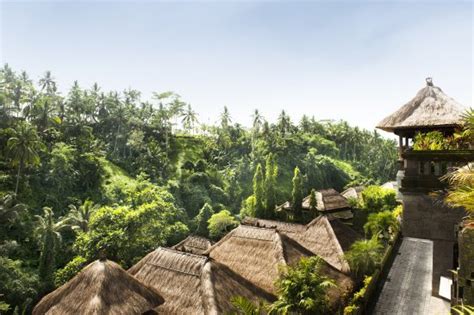 Viceroy Bali Ubud Indonesia Review Hotel And Perbandingan Harga Tripadvisor