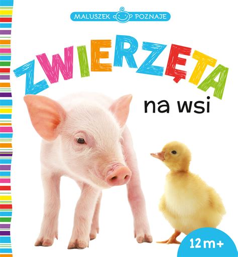 Maluszek Poznaje Zwierz Ta Na Wsi Opracowanie Zbiorowe Ksi Ka W Empik