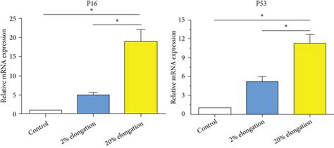 Analysis of expression of senescence-associated markers under... | Download Scientific Diagram