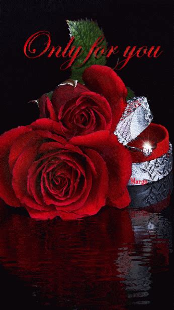 You Know Who You Are Red Roses Love You  Love Rose